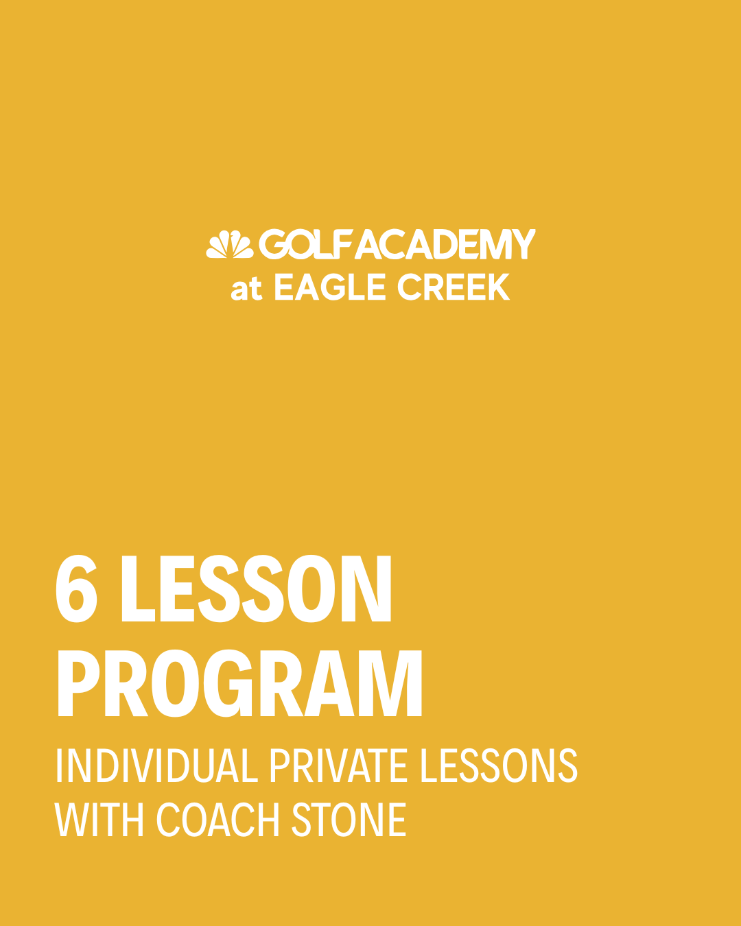 Coach Stone (6 Lesson Program)