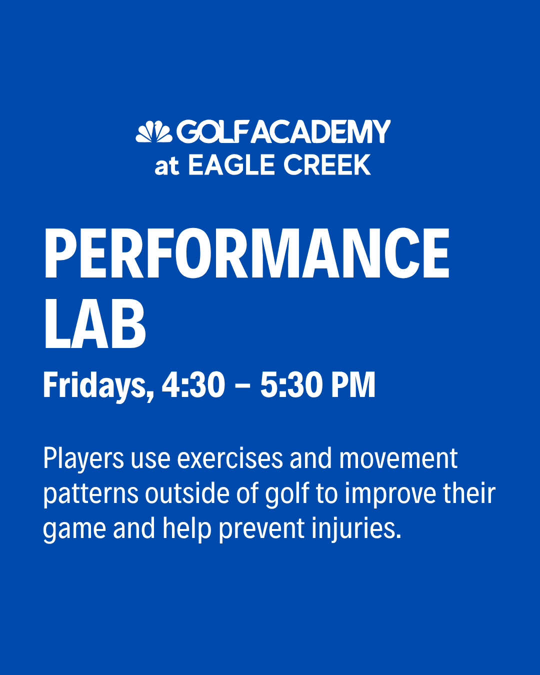 Performance Lab